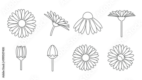 Set of 8 different chamomile flower outline icons, various angles and stages of bloom isolated on white background.