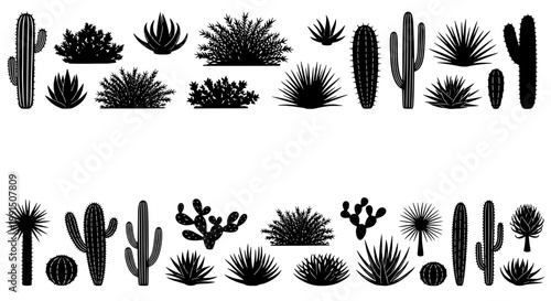 Cacti and succulents illustration set with various shapes and sizes featuring plants, desert, nature with botanical and drawing elements for vector,