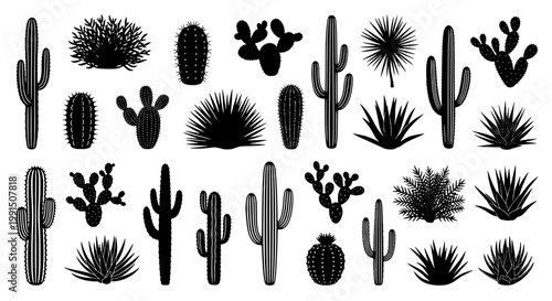 Cacti and succulents set with various shapes and textures in black and white featuring desert plants, vector, illustration with nature and botanical