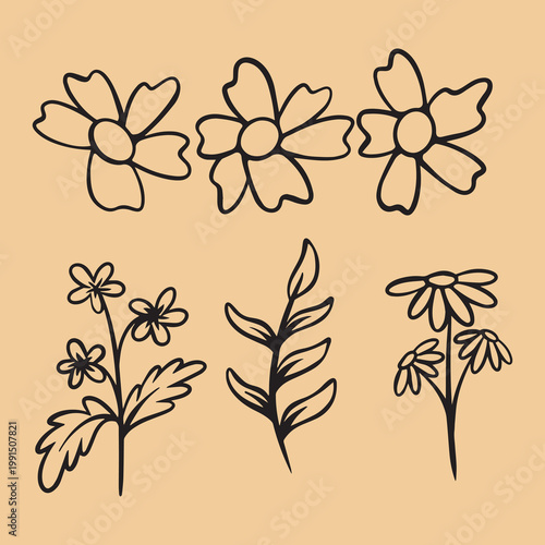 Abstract Handdrawn Floral Elements