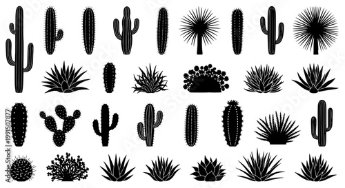 Cacti and succulents set with various shapes and styles for design use featuring plants, desert, nature with illustration and black and white