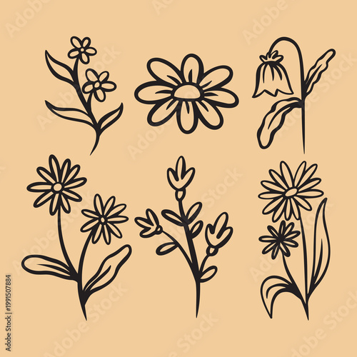Abstract Handdrawn Floral Elements