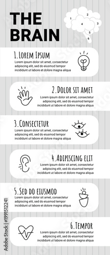 Brain infographic monochrome step by step design template with icon. 6 point list information part of brain organized text sections. Educational minimalistic flat outline vertical graphic.