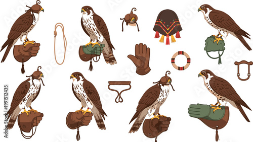 Set of falconry elements with hawks, equipment and accessories illustrated in detailed style showcasing traditional hunting birds and gear collection