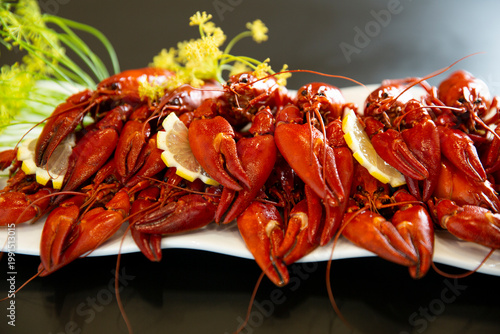 Boiled red crayfish with dill and lemon slices on white plate, dark background, traditional seafood appetizer, swedish crayfish party, gourmet