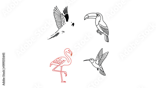 Tropical Bird Sketches: Delicate line drawings of a parrot, toucan, flamingo, and hummingbird showcasing the unique beauty of each species.