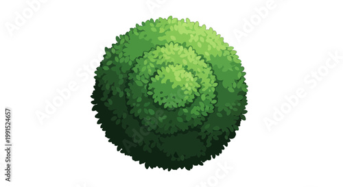 Lush round green topiary bush illustration with detailed leaves perfect for garden landscaping and ornamental plant design element