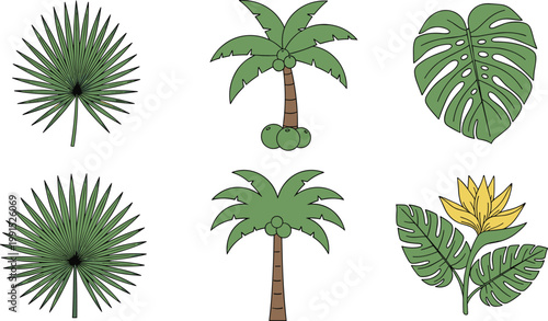 Tropical palm trees and monstera leaves botanical set with jungle foliage vector illustration exotic nature plant collection