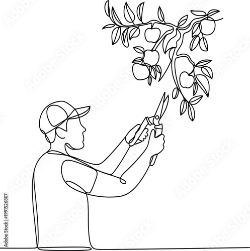 Continuous line art illustration of a farmer pruning an apple tree