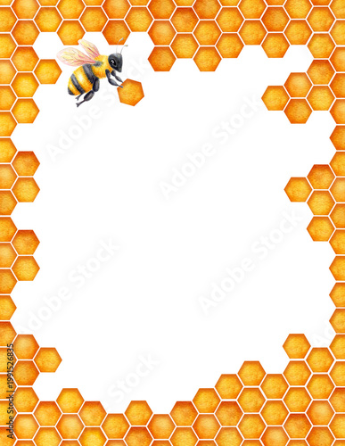 Honeycomb frame drawing. World Bee day conctpt.  Watercolor element hexagonal bee honeycombs border. Concept save the bees and ecology and ecosystem.