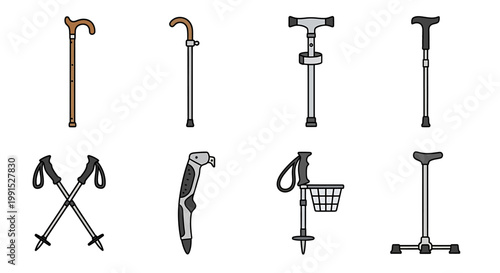 Collection of various walking canes.