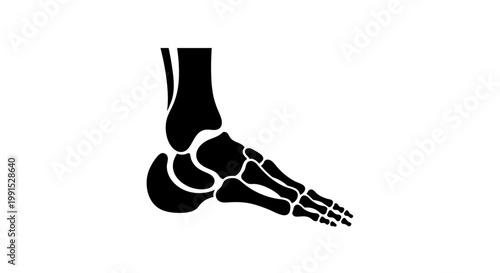 Detailed Silhouette of Human Foot Bones in Anatomical Illustration.