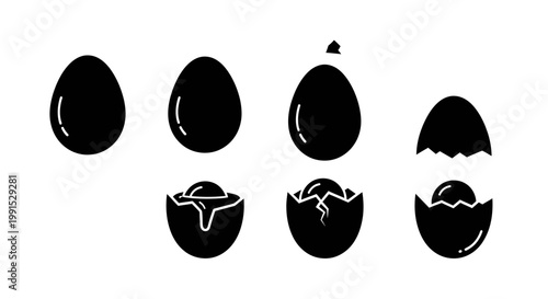 Egg Hatching Process - A Visual Guide to Chicken Embryo Development.
