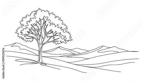 Minimalist continuous line drawing of a single large tree.
