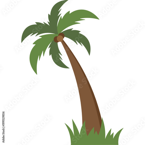 Palm Tree Illustration
