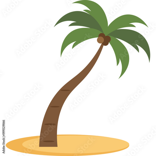 Palm Tree Illustration
