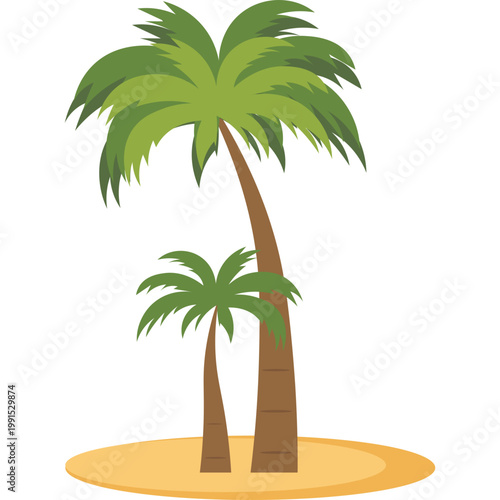Palm Tree Illustration
