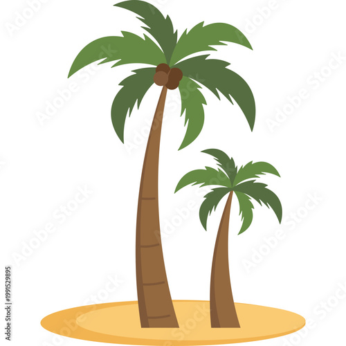 Palm Tree Illustration
