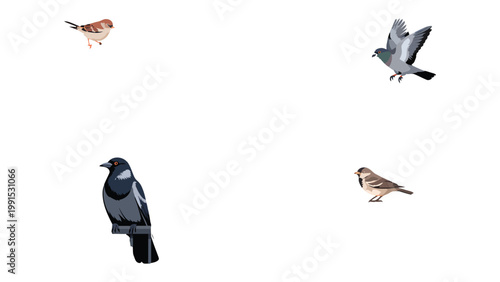 Birds in Flight and Perch: A collection of various birds captured in action, showcasing the beauty and diversity of avian life. The scene is clean, highlighting each bird's unique characteristics.