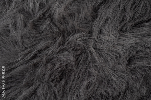 Quadro su tela Detailed close up view of fluffy soft dark grey shaggy faux fur textile material