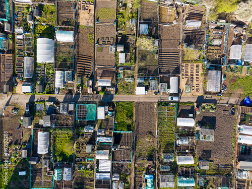 Εκτύπωση καμβά Top down view of allotments with greenhouses, Wrexham, Wales
