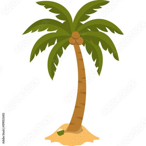 Palm Tree Illustration