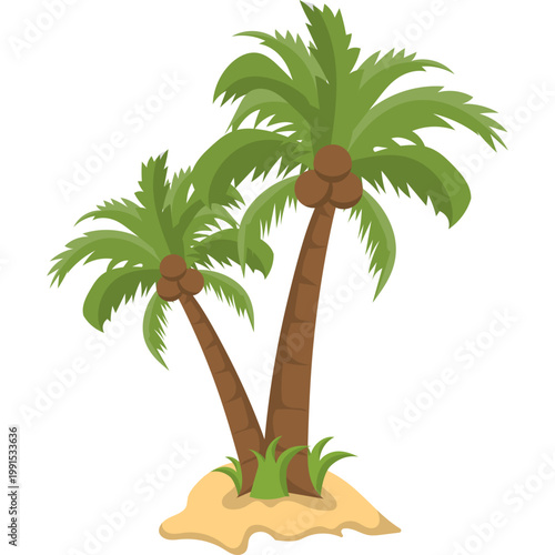 Palm Tree Illustration