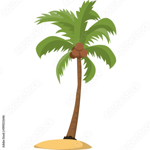 Palm Tree Illustration