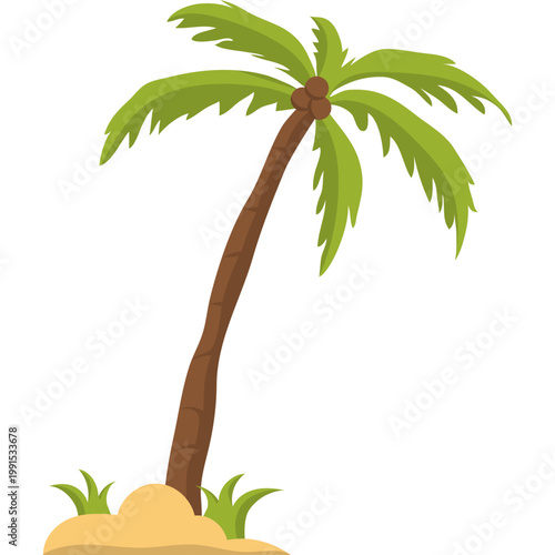 Palm Tree Illustration