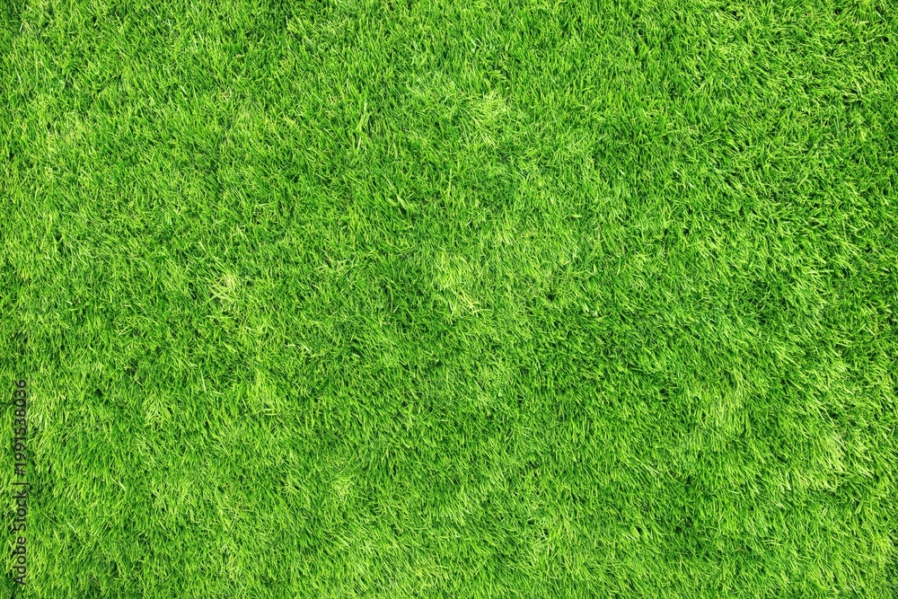 Fototapeta premium A close-up image of vibrant green grass blades evenly covering the ground, showcasing healthy and lush turf.
