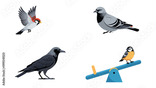 A Symphony of Birds: A captivating collection of bird illustrations, showcasing a diverse array of avian species and their unique characteristics.