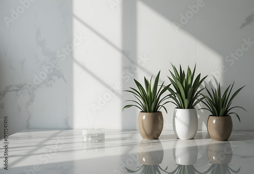 Minimal plant decor 
