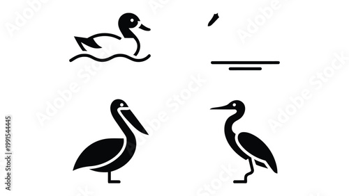 Aquatic Birds Set Illustration: A minimalist illustrated set featuring four distinct aquatic birds, perfect for use in design projects or educational materials.