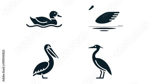 Feathery Icons: A quartet of elegant avian illustrations, showcasing the graceful forms of a duck, a swan, a pelican, and a heron in sophisticated simplicity.