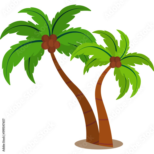 Palm Tree Illustration