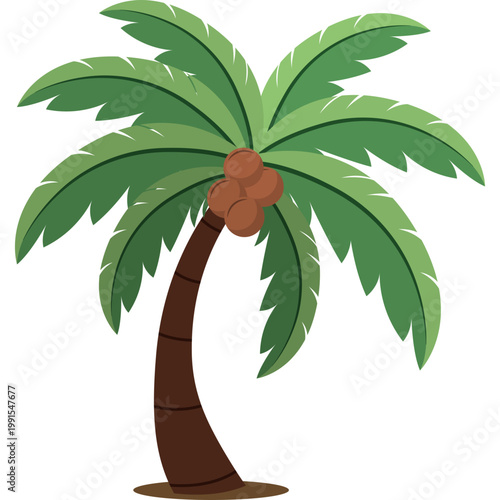Palm Tree Illustration