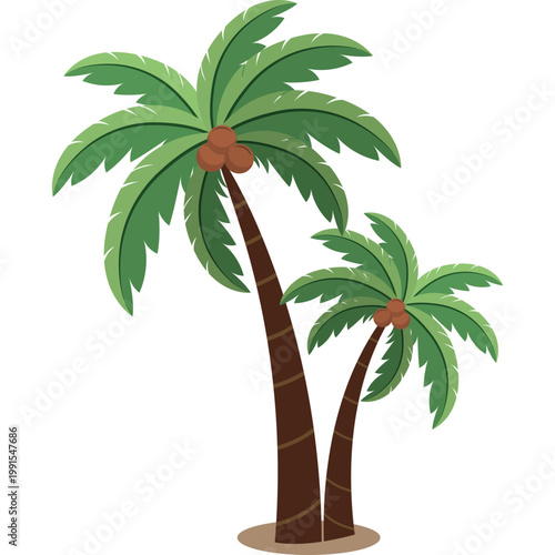 Palm Tree Illustration