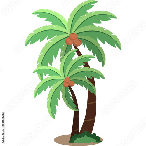 Palm Tree Illustration