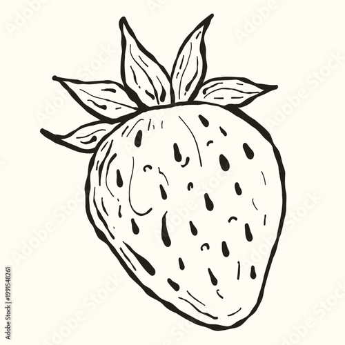 Strawberry Berry, Hand-Drawn Etched Drawing for Healthy Nutrition Editorial and Wellness