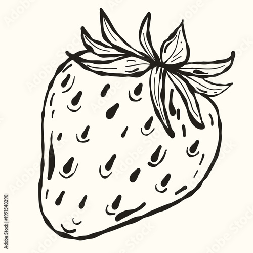 Side View Strawberry Berry, Hand-Drawn Ink Sketch for Summer Fruit Preserves and Jam Branding