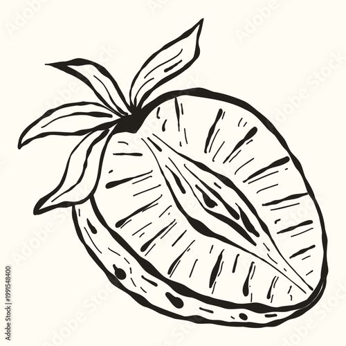 Half Sliced Strawberry Berry, Hand-Drawn Ink Sketch for Fruit Salad Recipe and Yogurt Packaging