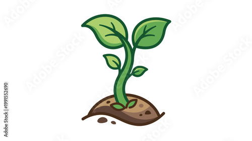 Small green plant growing from soil.