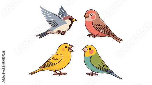 Avian Quartet: A delightful collection of four vibrant birds, each showcasing unique plumage and characteristics, arranged artfully to captivate and charm.