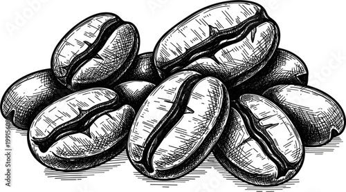 Coffee Beans Pile Hand Drawn Vintage Engraving Illustration with Roasted Seeds for Cafe Packaging Branding Menu and Beverage Design