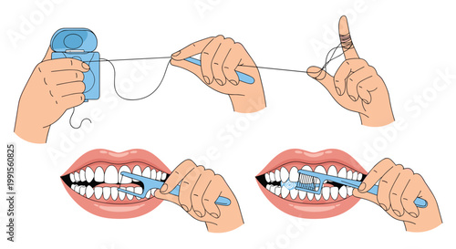 Educational illustrations showing the proper steps and techniques for using dental floss and a floss pick to maintain good oral hygiene.