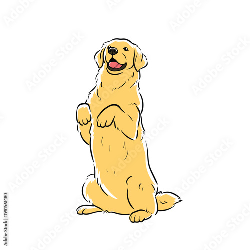Hand Drawn Colored Golden Retriever Begging Pose Vector Illustration