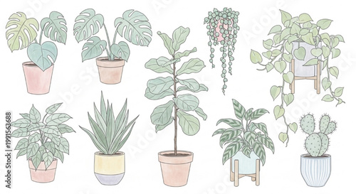 2D Elevation View of Houseplants in Soft Pastels, Vector Art Illustration