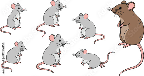 Cartoon mouse and rat characters set with different poses cute rodents collection animal illustration for education wildlife pest concept isolated design.