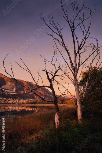 Sunset over Lake Pusiano with mountain reflection and reeds in Lombardy, Italy