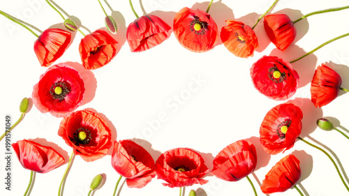 Vibrant red poppy flowers and buds are artfully arranged in a decorative frame shape on a clean white background with shadows